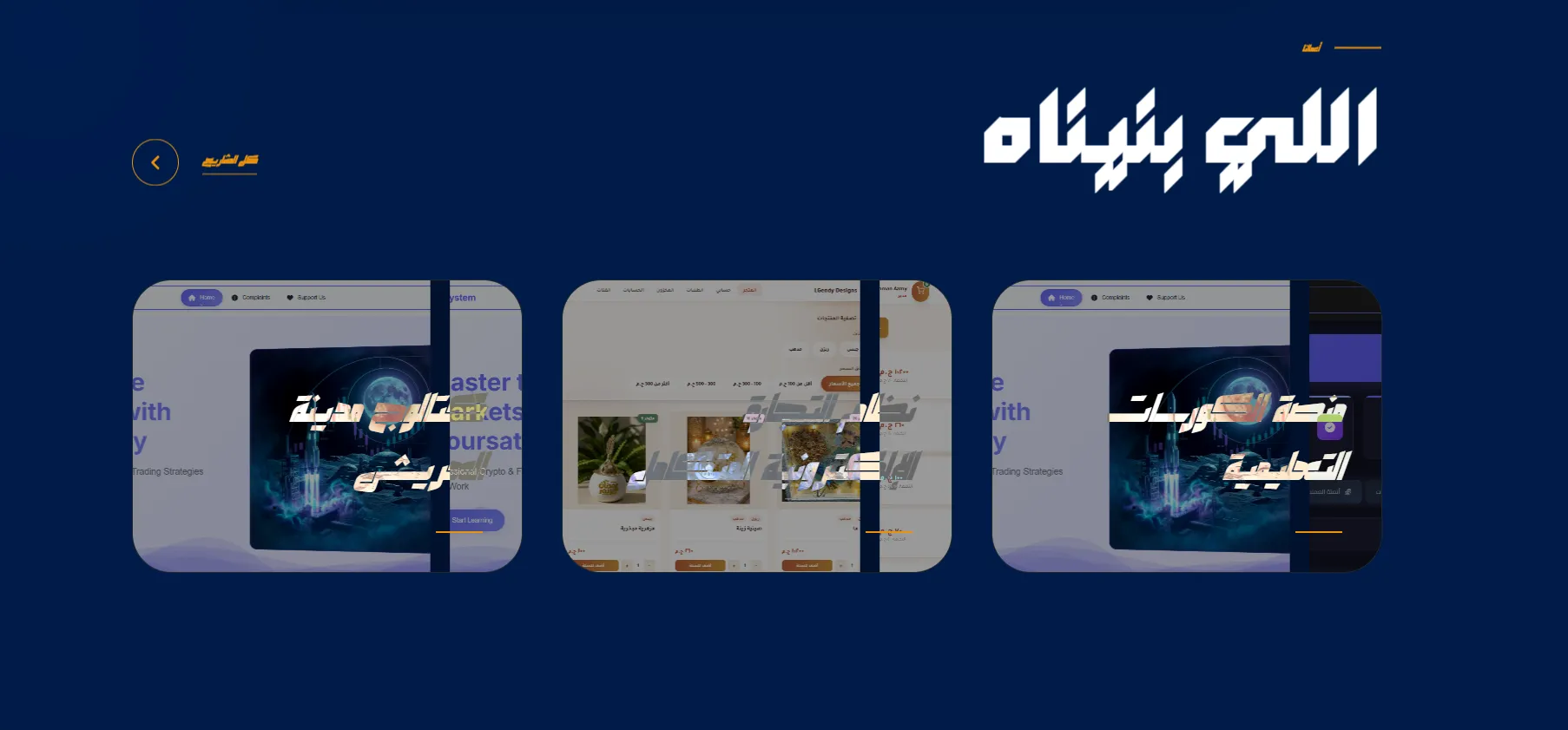 عرض المشاريع